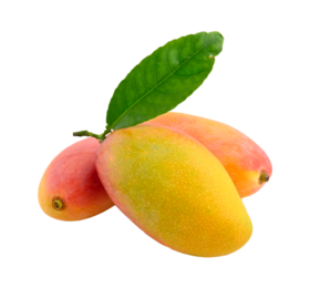 Large Fresh Mango