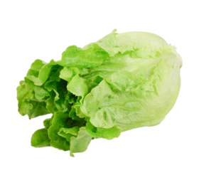 Green Ve Cabbage